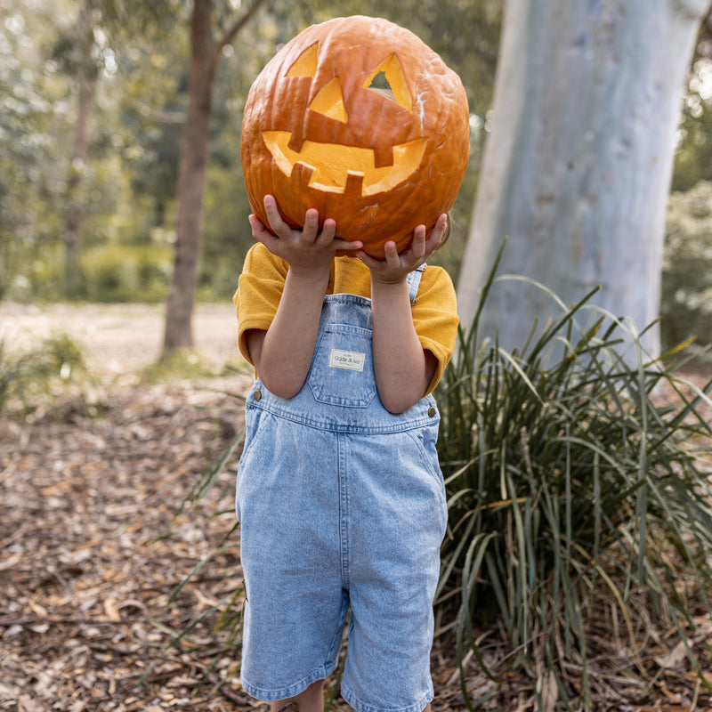 little boy holding a carved pumpkin wearing a yellow shirt and denim overalls