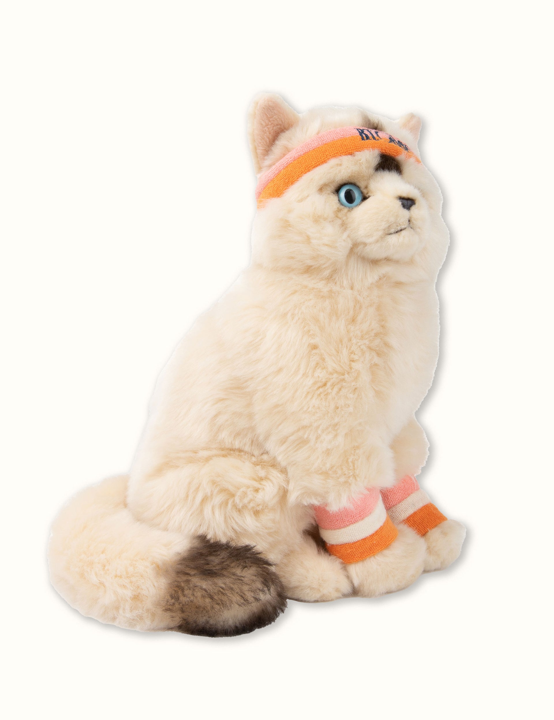 Dolly the Ragdoll Plush 32cm
