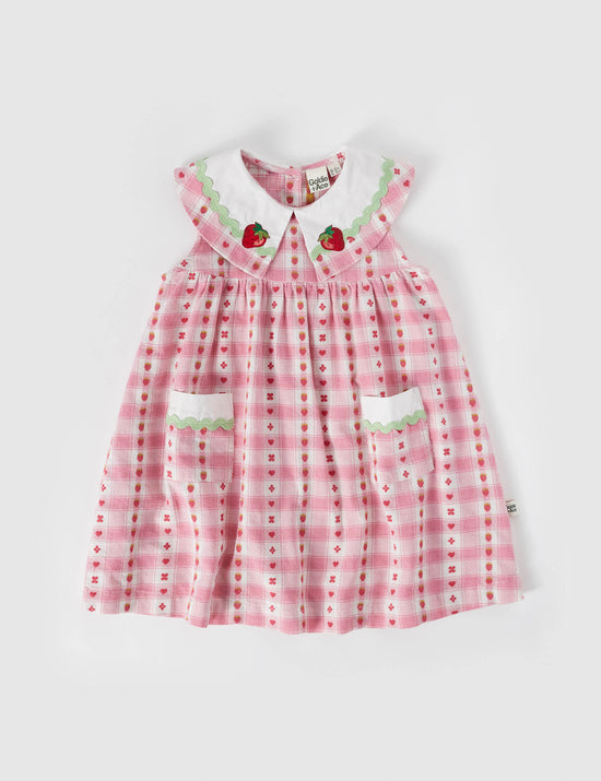 Lucy Collared Very Berry Gingham Dress Pink