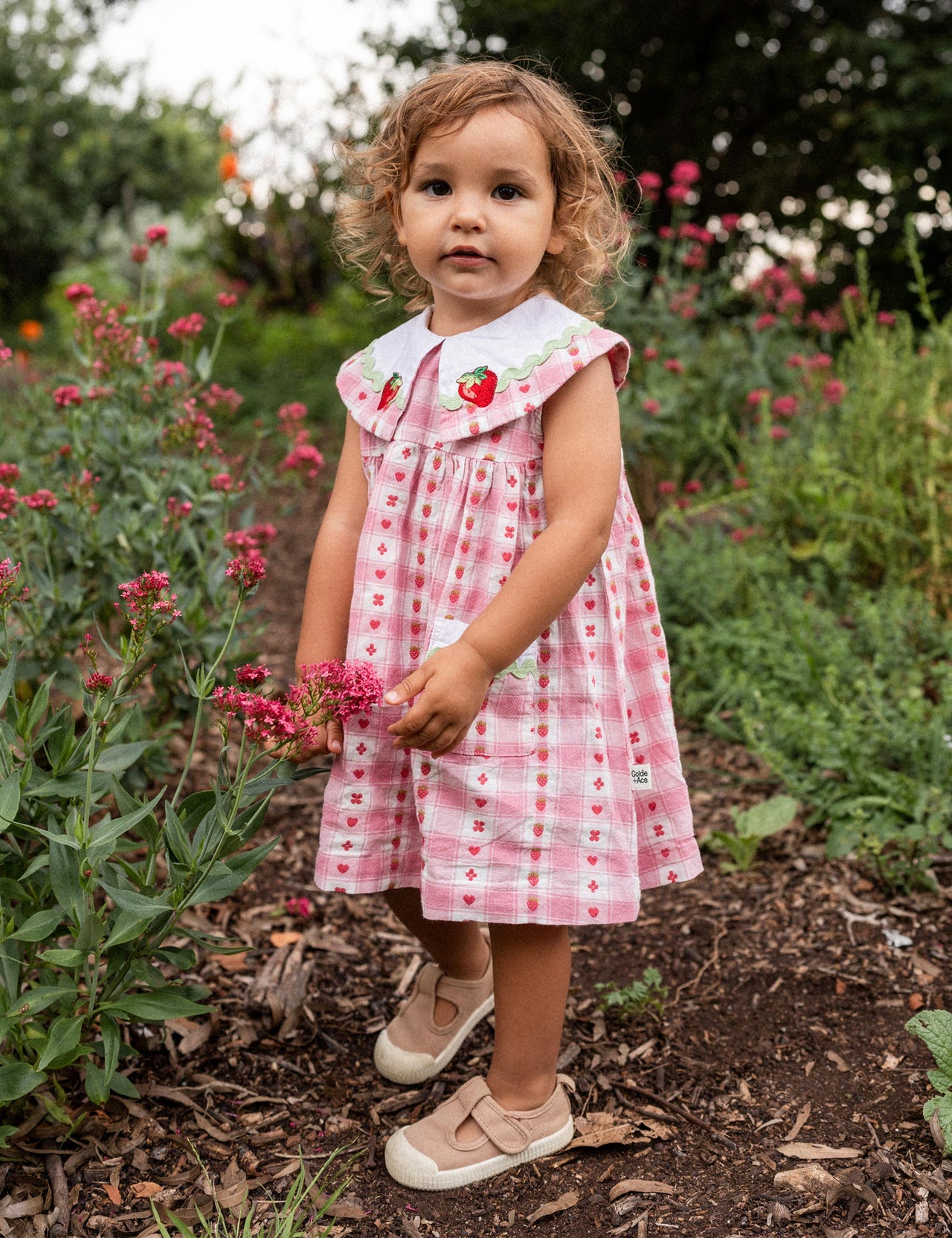 Lucy Collared Very Berry Gingham Dress Pink
