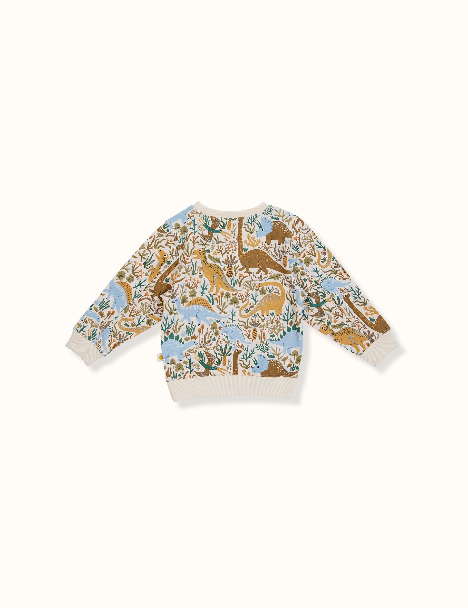 Dino Roar Terry Relaxed Sweater Blue