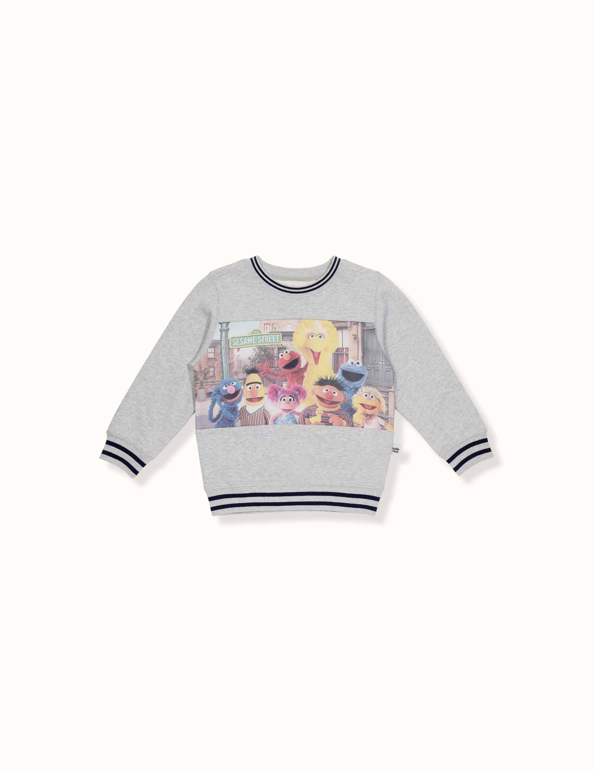 Sesame Street® Panel Sweater Grey Marle