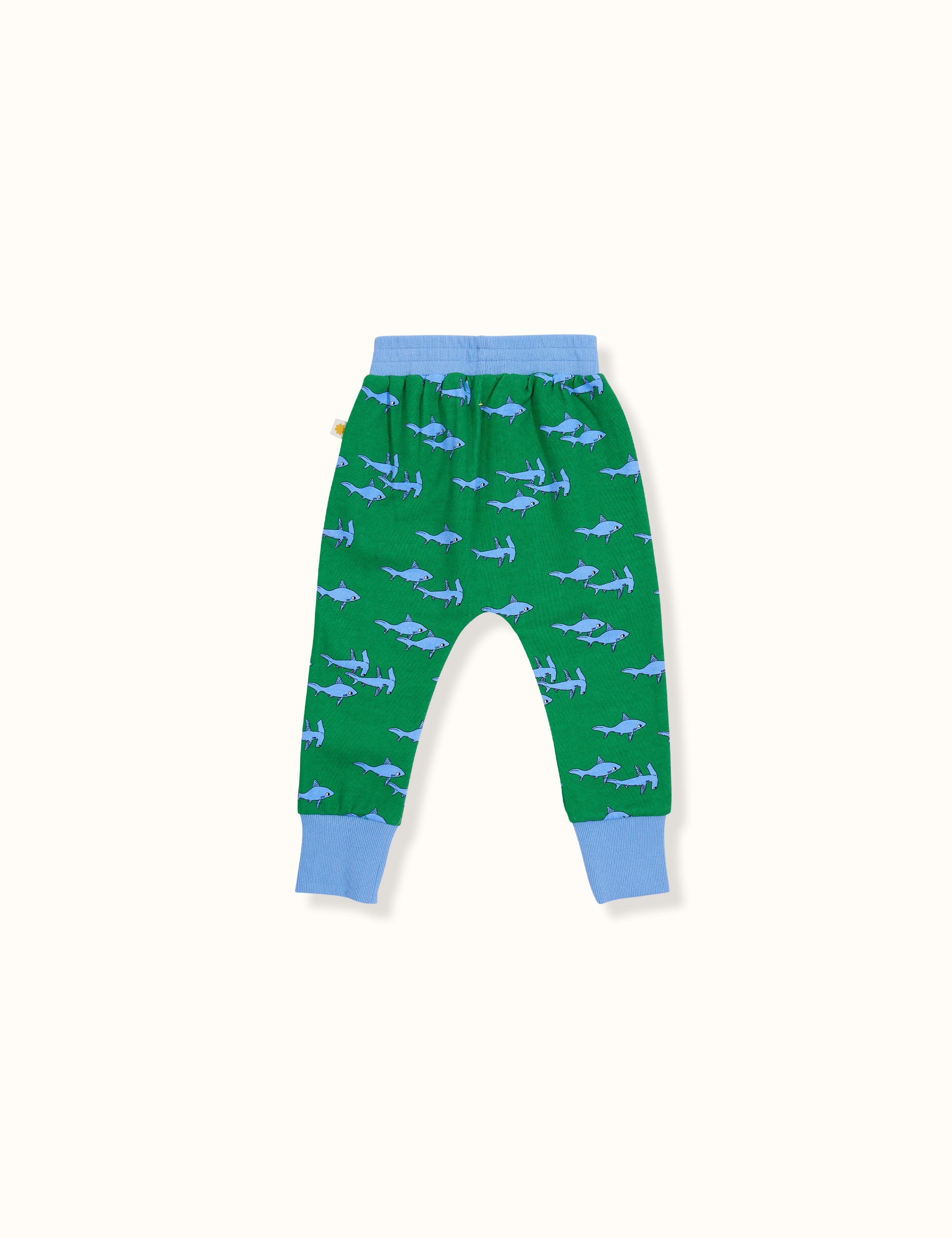 Sharks Terry Sweatpants Green