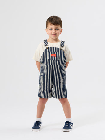 Railroad Stripe Burton Overalls