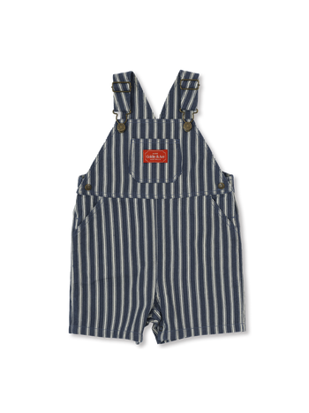 Railroad Stripe Burton Overalls