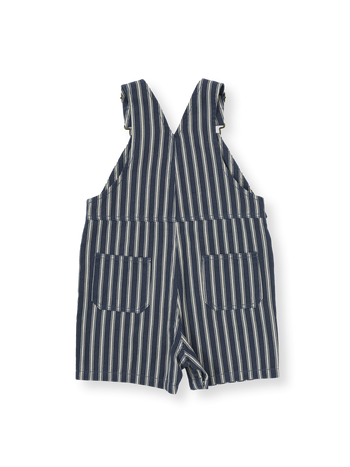 Railroad Stripe Burton Overalls