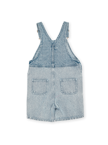 Denim Railroad Burton Overalls
