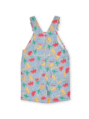 Dino Print Burton Overalls