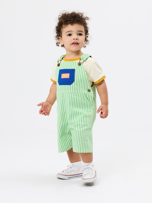 Lime Stripe Burton Overalls
