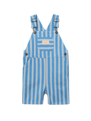 Ocean Stripe Burton Overalls