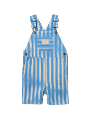 Ocean Stripe Burton Overalls