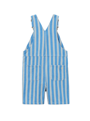 Ocean Stripe Burton Overalls