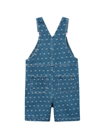 Spotty Denim Burton Overalls