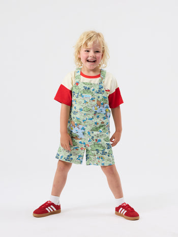 The Smurfs Village Print Burton Overall