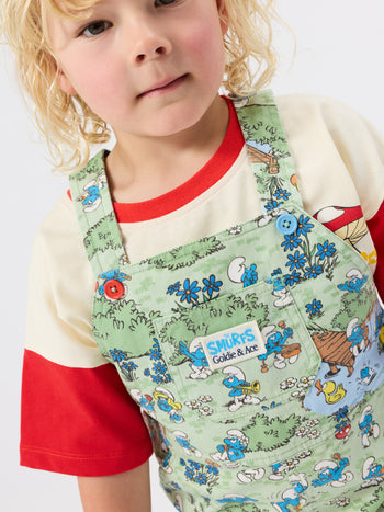 The Smurfs Village Print Burton Overall