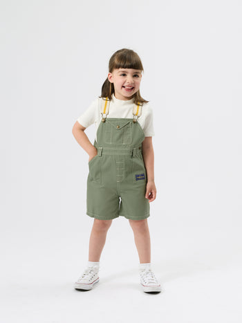 Carpenter Utility Burton Overalls
