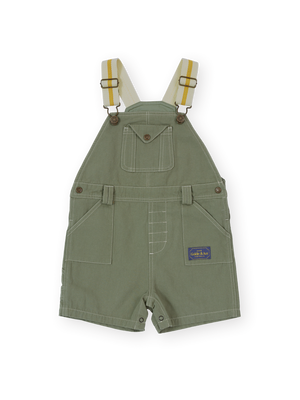 Carpenter Utility Burton Overalls