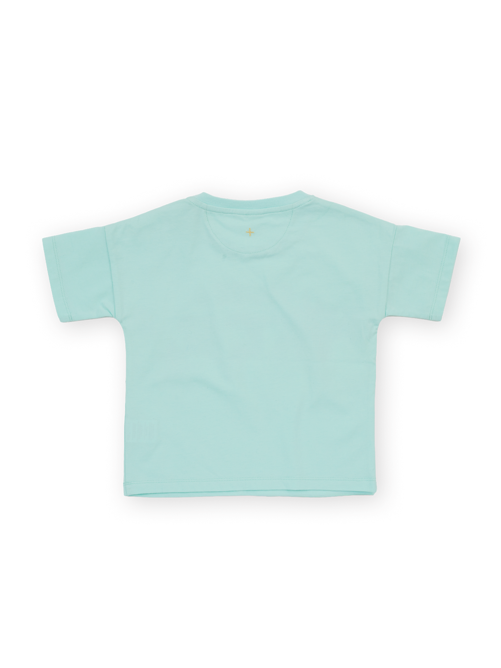 The Goldie + Ace Alpine T-Shirt in Mint pictured on a transparent background. The material is 100% cotton. It is a t-shirt made for babies, toddlers and kids.