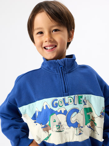 Alpine Quarter Zip Sweater