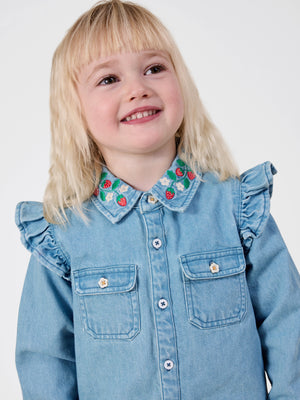 Wild Strawberry Chambray Shirt