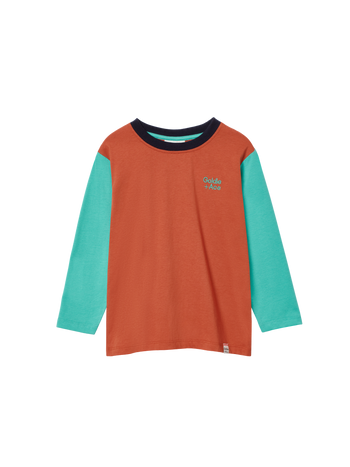 The Goldie + Ace Colour Block Top Rust in Rust/Green pictured on a transparent background. The material is 100% cotton. It is a t-shirt made for babies, toddlers and kids.