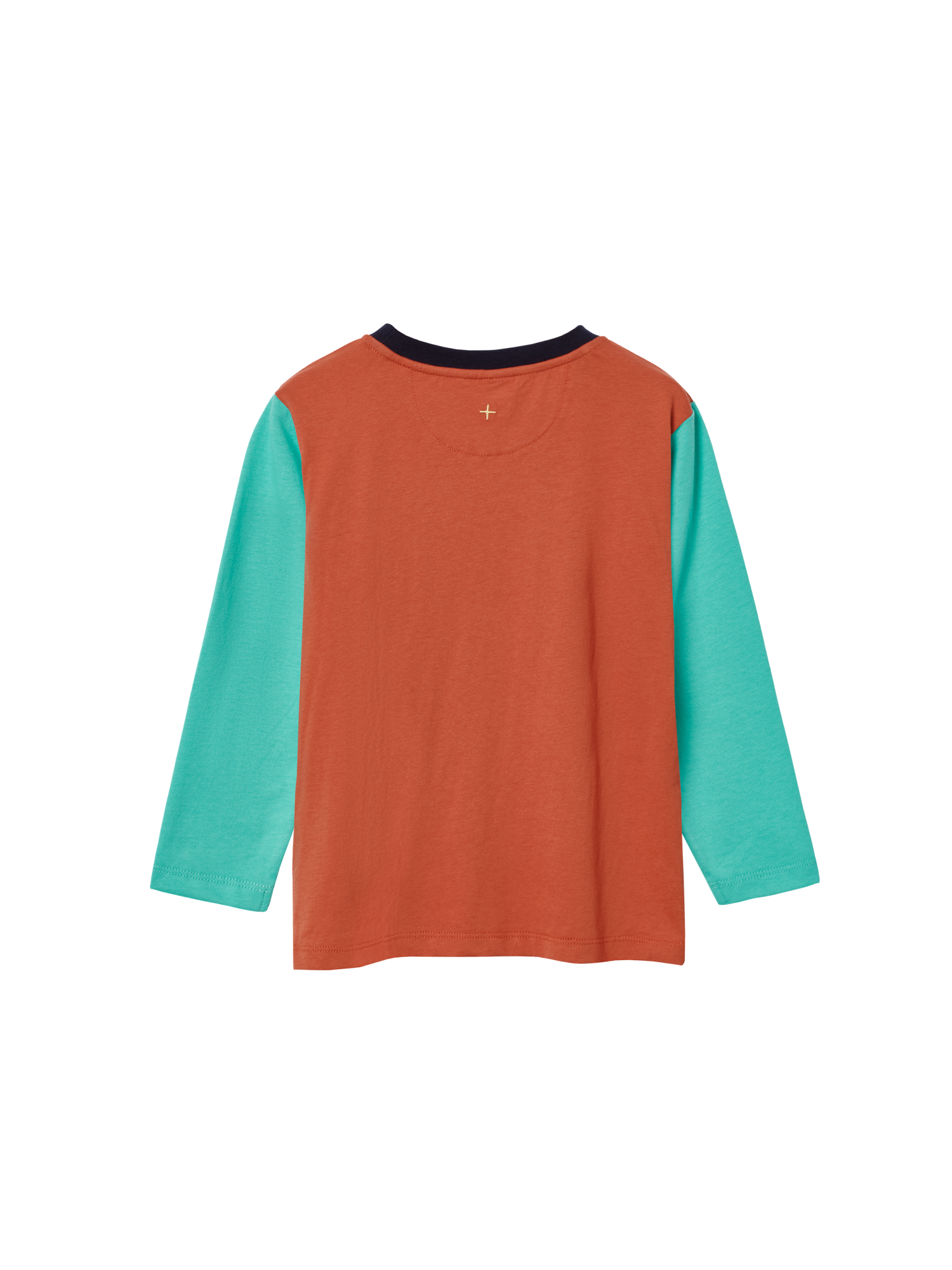 The Goldie + Ace Colour Block Top Rust in Rust/Green pictured on a transparent background. The material is 100% cotton. It is a t-shirt made for babies, toddlers and kids.