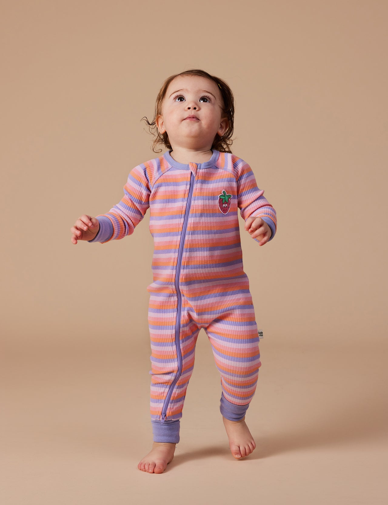 Tutti Frutti Stripe Rib Zipsuit Purple Multi