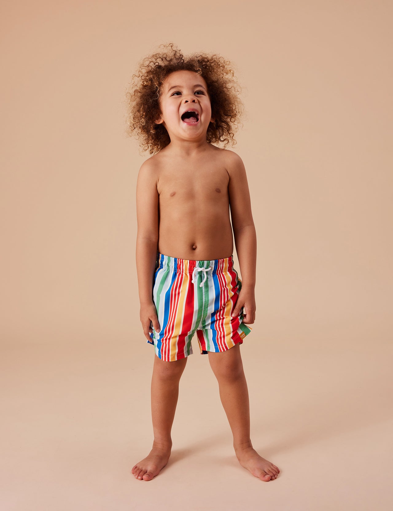 Bold Stripe Board Shorts Primary