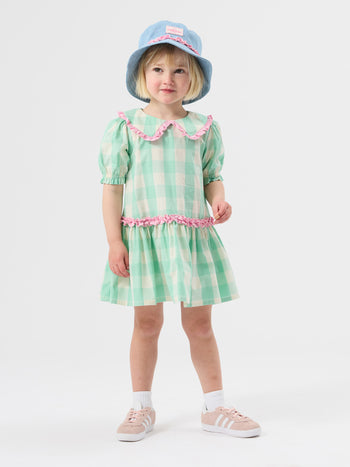 Gingham Collar Dress