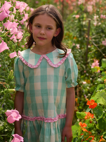 Gingham Collar Dress