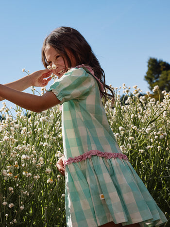 Gingham Collar Dress