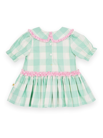 Gingham Collar Dress