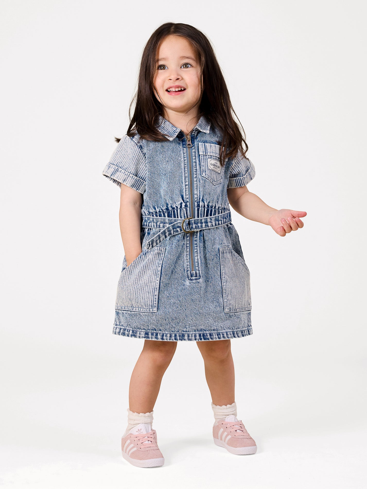 Piper Pinstripe Denim Belted Dress