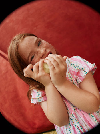 Antique Stripe Strawberry Flo Smocked Dress
