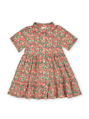Strawberry Monica Dress