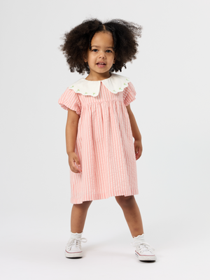 Stripe Collared Dress