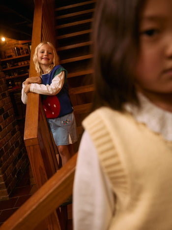 Wild Strawberry Chambray Skirt