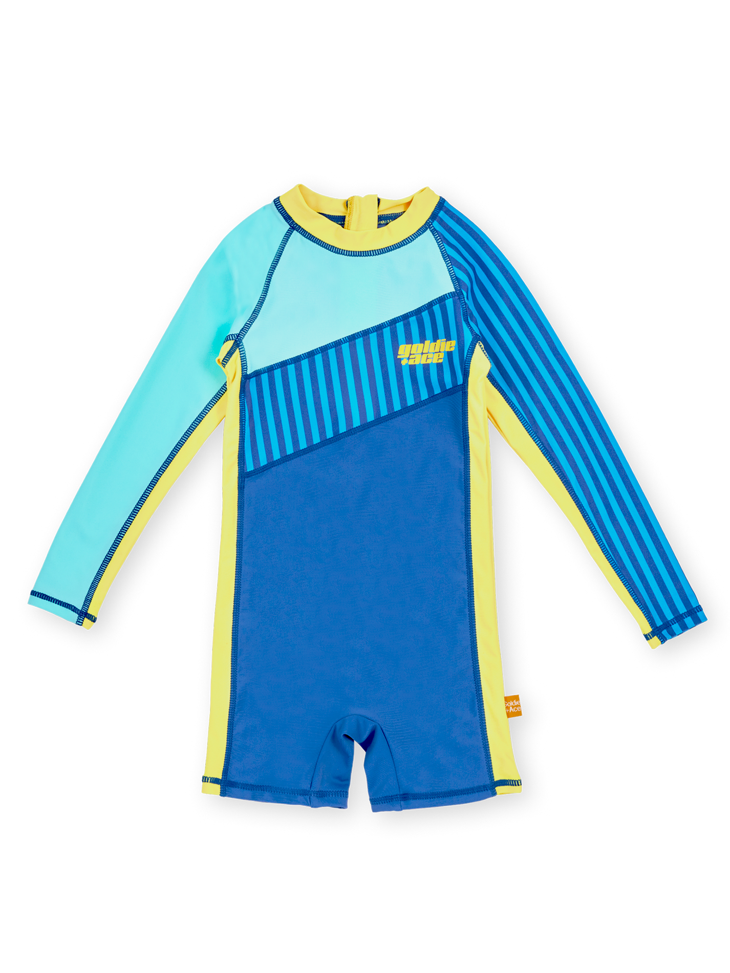 Stripe Panel Swimsuit