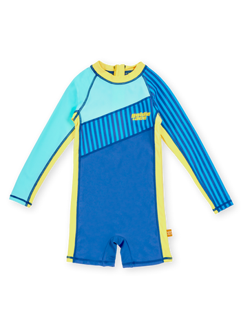 Stripe Panel Swimsuit