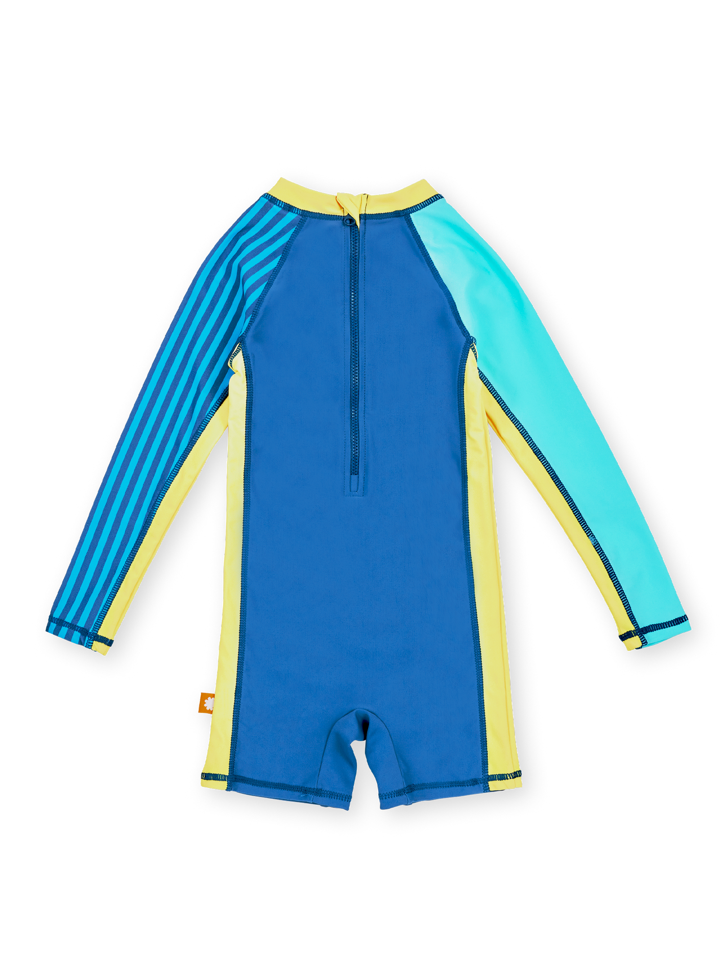 Stripe Panel Swimsuit