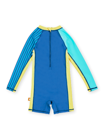 Stripe Panel Swimsuit