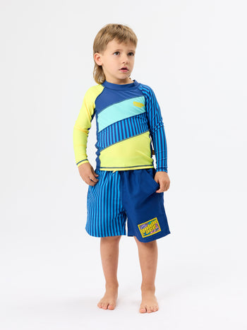 Stripe Panel Board Shorts