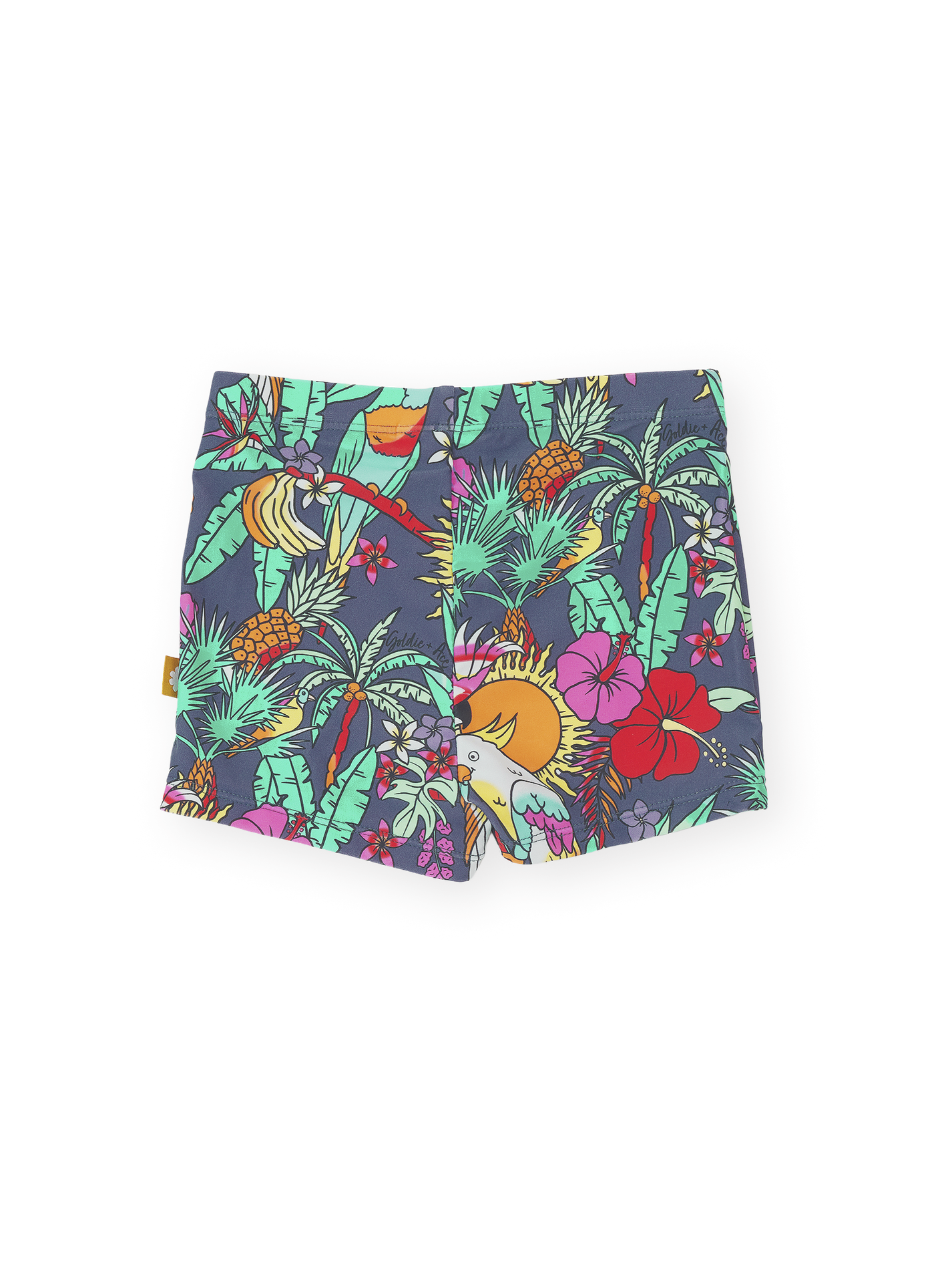Paradise Swim Shorts
