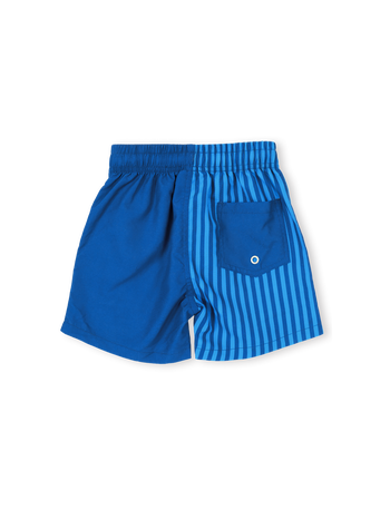 Stripe Panel Board Shorts