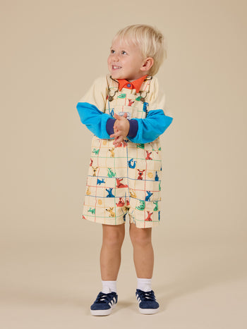 Hopscotch Burton Denim Overalls