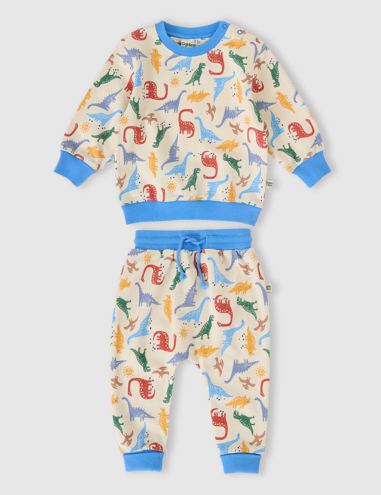 The Dino-Mite Terry Sweat Set