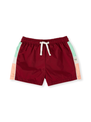 Retro Sporty Shorts Brick