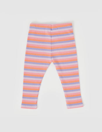 Tutti Frutti Stripe Rib Leggings Purple Multi