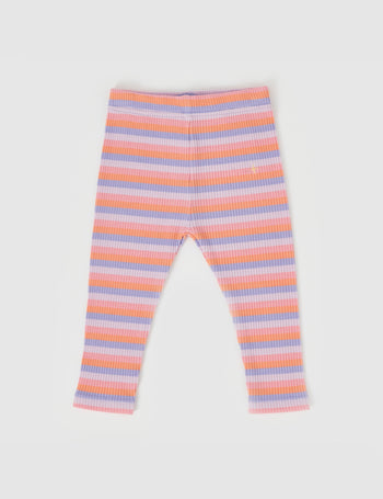 Tutti Frutti Stripe Rib Leggings Purple Multi