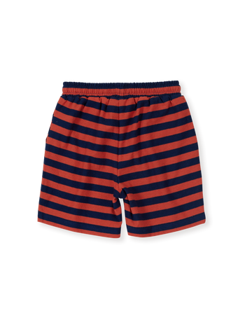 Reverse Stripe Noah Shorts Rust